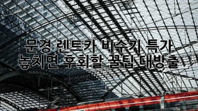 🚗 문경 렌트카 비수기 특가! 놓치면 후회할 꿀팁 대방출 🍯
